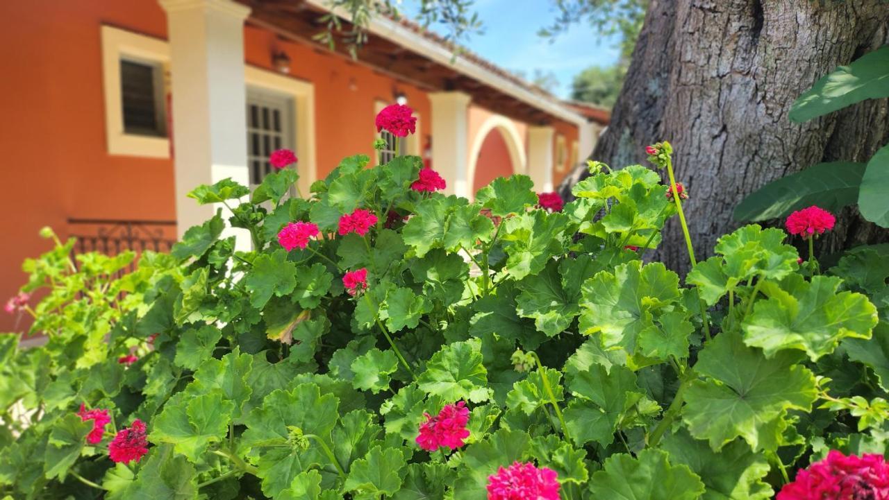 Aristea Studios Kato Korakiana Exteriör bild